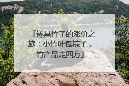遂昌竹子的涨价之旅：小竹叶包粽子，竹产品走四方