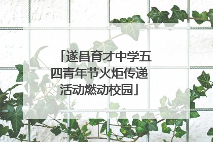遂昌育才中学五四青年节火炬传递活动燃动校园