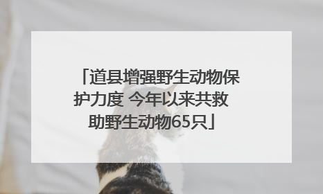 道县增强野生动物保护力度 今年以来共救助野生动物65只