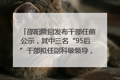 邵阳隆回发布干部任前公示，其中三名“95后”干部拟任副科级领导，均系硕士选调生
