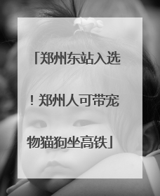 郑州东站入选！郑州人可带宠物猫狗坐高铁