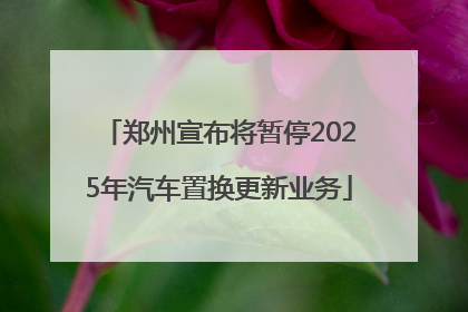 郑州宣布将暂停2025年汽车置换更新业务