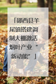 郧西县羊尾镇搭建调制大棚激活烟叶产业“新动能”
