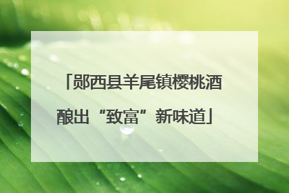 郧西县羊尾镇樱桃酒酿出“致富”新味道