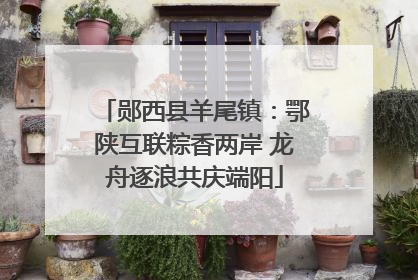 郧西县羊尾镇：鄂陕互联粽香两岸 龙舟逐浪共庆端阳