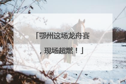 鄂州这场龙舟赛，现场超燃！