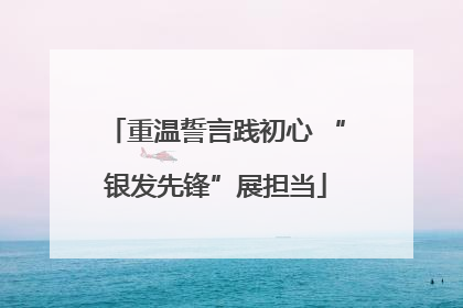 重温誓言践初心 “银发先锋”展担当