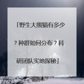 野生大熊猫有多少？种群如何分布？科研团队实地探秘