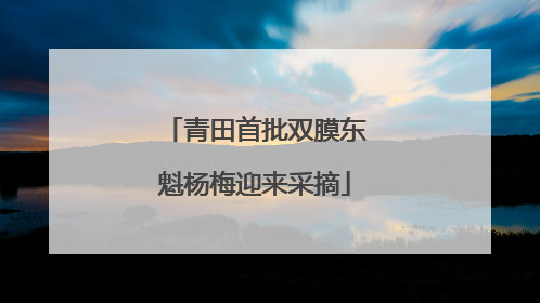 青田首批双膜东魁杨梅迎来采摘