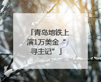 青岛地铁上演1万美金“寻主记”