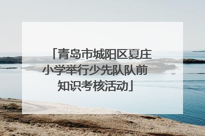 青岛市城阳区夏庄小学举行少先队队前知识考核活动