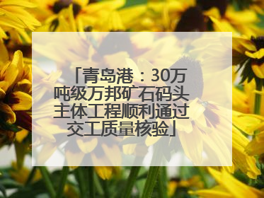 青岛港：30万吨级万邦矿石码头主体工程顺利通过交工质量核验