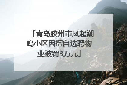 青岛胶州市凤起潮鸣小区因擅自选聘物业被罚3万元