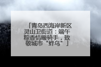 青岛西海岸新区灵山卫街道：端午粽香情暖骑手，致敬城市“蜂鸟”