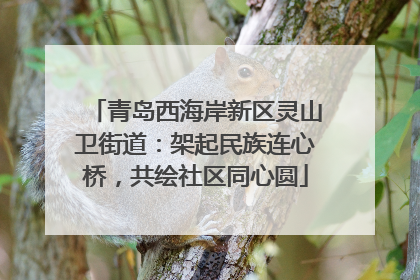 青岛西海岸新区灵山卫街道：架起民族连心桥，共绘社区同心圆