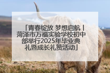 青春绽放 梦想启航丨菏泽市万福实验学校初中部举行2025年毕业典礼暨成长礼赞活动