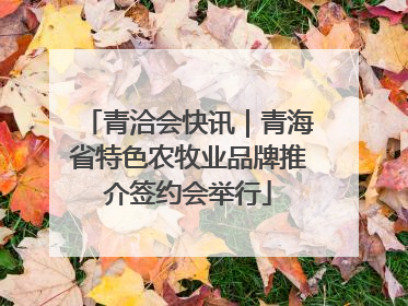 青洽会快讯｜青海省特色农牧业品牌推介签约会举行