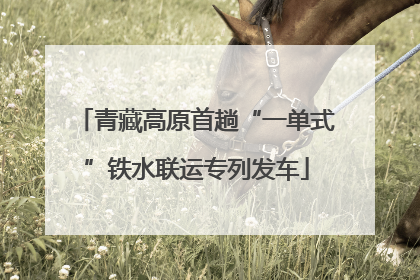 青藏高原首趟“一单式”铁水联运专列发车