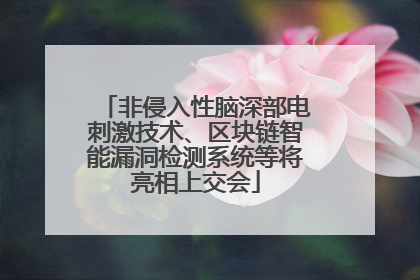非侵入性脑深部电刺激技术、区块链智能漏洞检测系统等将亮相上交会