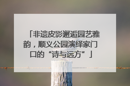 非遗皮影邂逅园艺雅韵，顺义公园演绎家门口的“诗与远方”