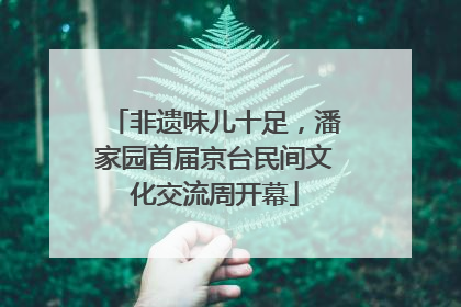 非遗味儿十足，潘家园首届京台民间文化交流周开幕