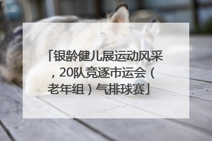 银龄健儿展运动风采，20队竞逐市运会（老年组）气排球赛