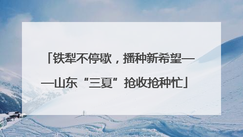 铁犁不停歇，播种新希望——山东“三夏”抢收抢种忙