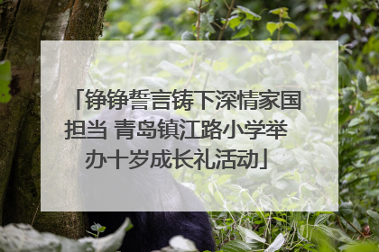 铮铮誓言铸下深情家国担当 青岛镇江路小学举办十岁成长礼活动