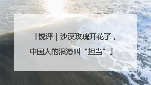 锐评｜沙漠玫瑰开花了，中国人的浪漫叫“担当”