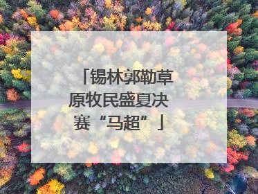 锡林郭勒草原牧民盛夏决赛“马超”