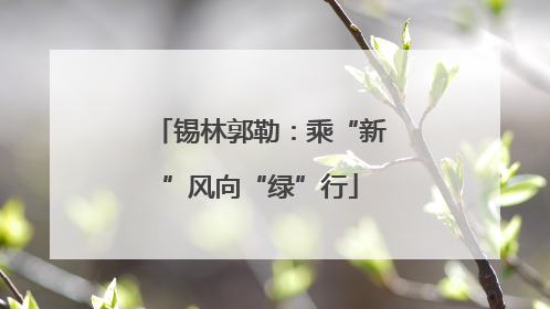 锡林郭勒：乘“新”风向“绿”行