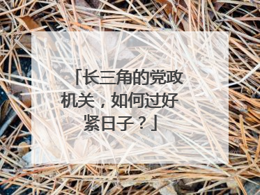 长三角的党政机关，如何过好紧日子？
