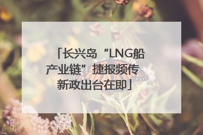 长兴岛“LNG船产业链”捷报频传 新政出台在即