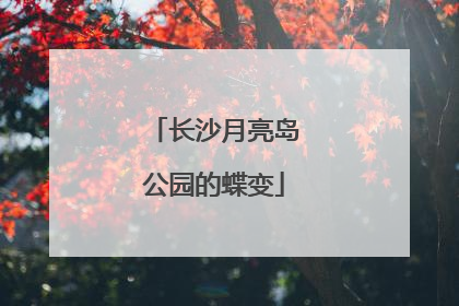 长沙月亮岛公园的蝶变