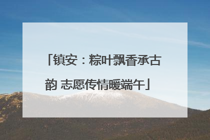 镇安：粽叶飘香承古韵 志愿传情暖端午