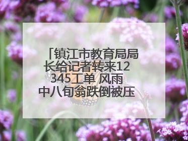 镇江市教育局局长给记者转来12345工单 风雨中八旬翁跌倒被压电瓶车下，扶不扶？镇江高职学子选择令人钦佩