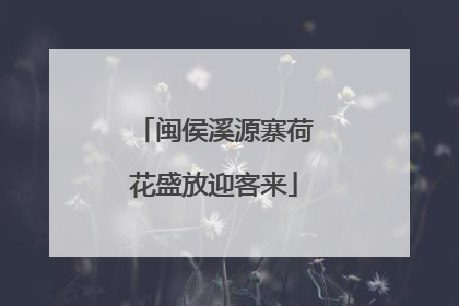 闽侯溪源寨荷花盛放迎客来