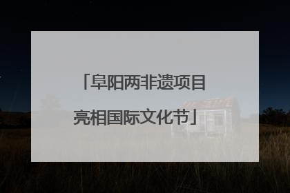 阜阳两非遗项目亮相国际文化节