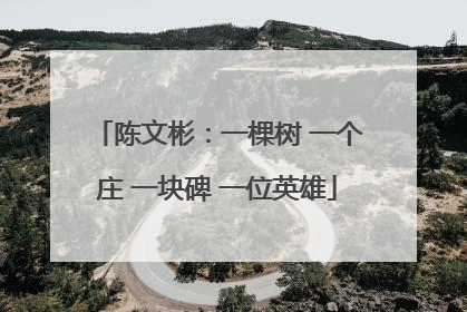 陈文彬：一棵树 一个庄 一块碑 一位英雄