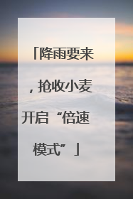降雨要来，抢收小麦开启“倍速模式”