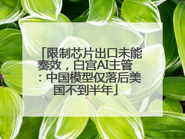 限制芯片出口未能奏效，白宫AI主管：中国模型仅落后美国不到半年