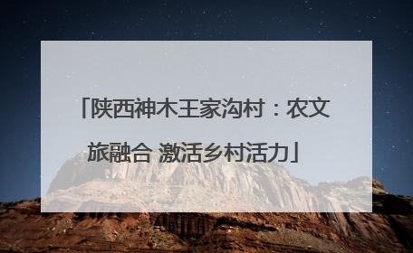 陕西神木王家沟村：农文旅融合 激活乡村活力