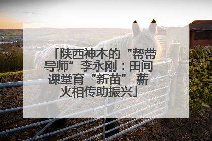 陕西神木的“帮带导师”李永刚：田间课堂育“新苗” 薪火相传助振兴