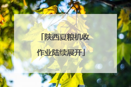 陕西夏粮机收作业陆续展开