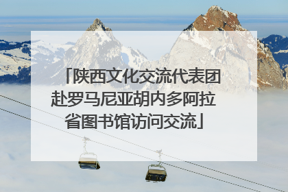 陕西文化交流代表团赴罗马尼亚胡内多阿拉省图书馆访问交流
