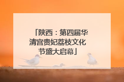 陕西：第四届华清宫贵妃荔枝文化节盛大启幕