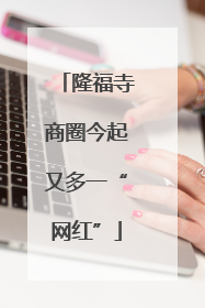 隆福寺商圈今起又多一“网红”