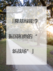 隆基绿能李振国和他的“新战场”