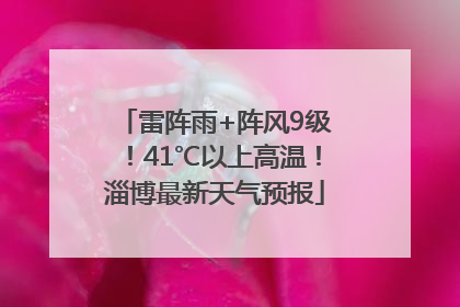雷阵雨+阵风9级！41℃以上高温！淄博最新天气预报