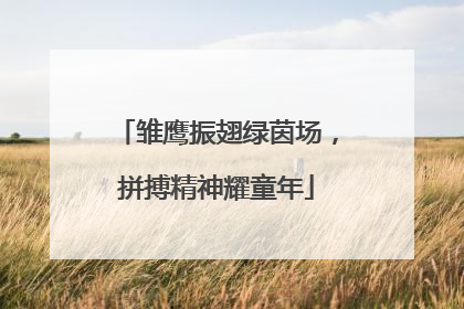 雏鹰振翅绿茵场，拼搏精神耀童年